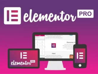 Elementor Pro